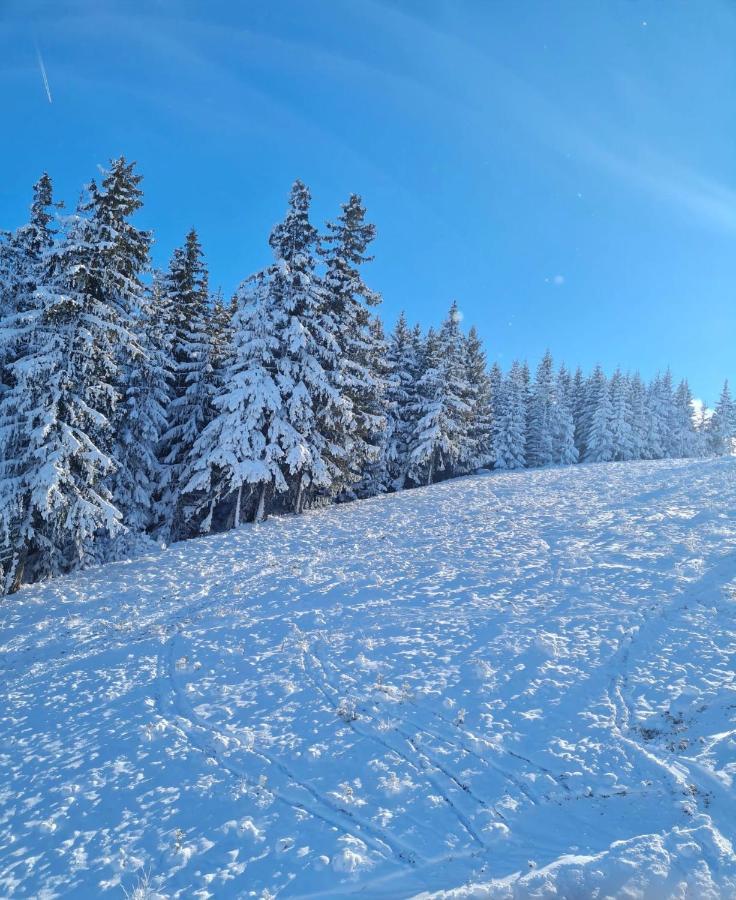 Flora Ski-Slope Studio Apartment Боровец Экстерьер фото