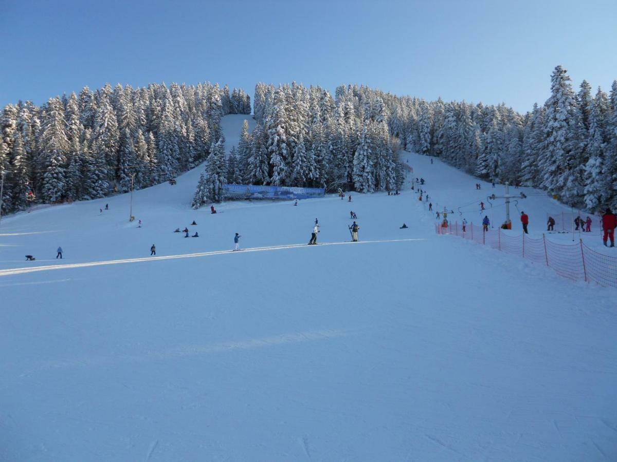 Flora Ski-Slope Studio Apartment Боровец Экстерьер фото